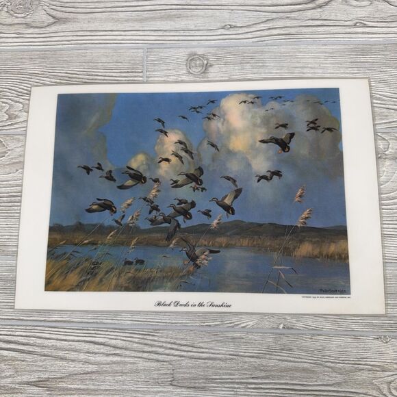 Peter Scott Waterfowl Laminated Placemats Lot Of 6 Vintage 1953 Ducks Geese - Picture 2 of 16